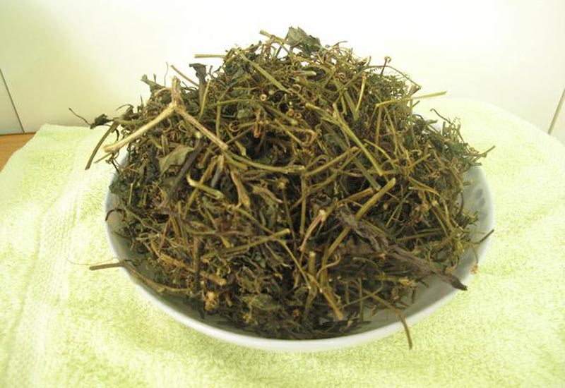 Trà giảo cổ lam Fansipan